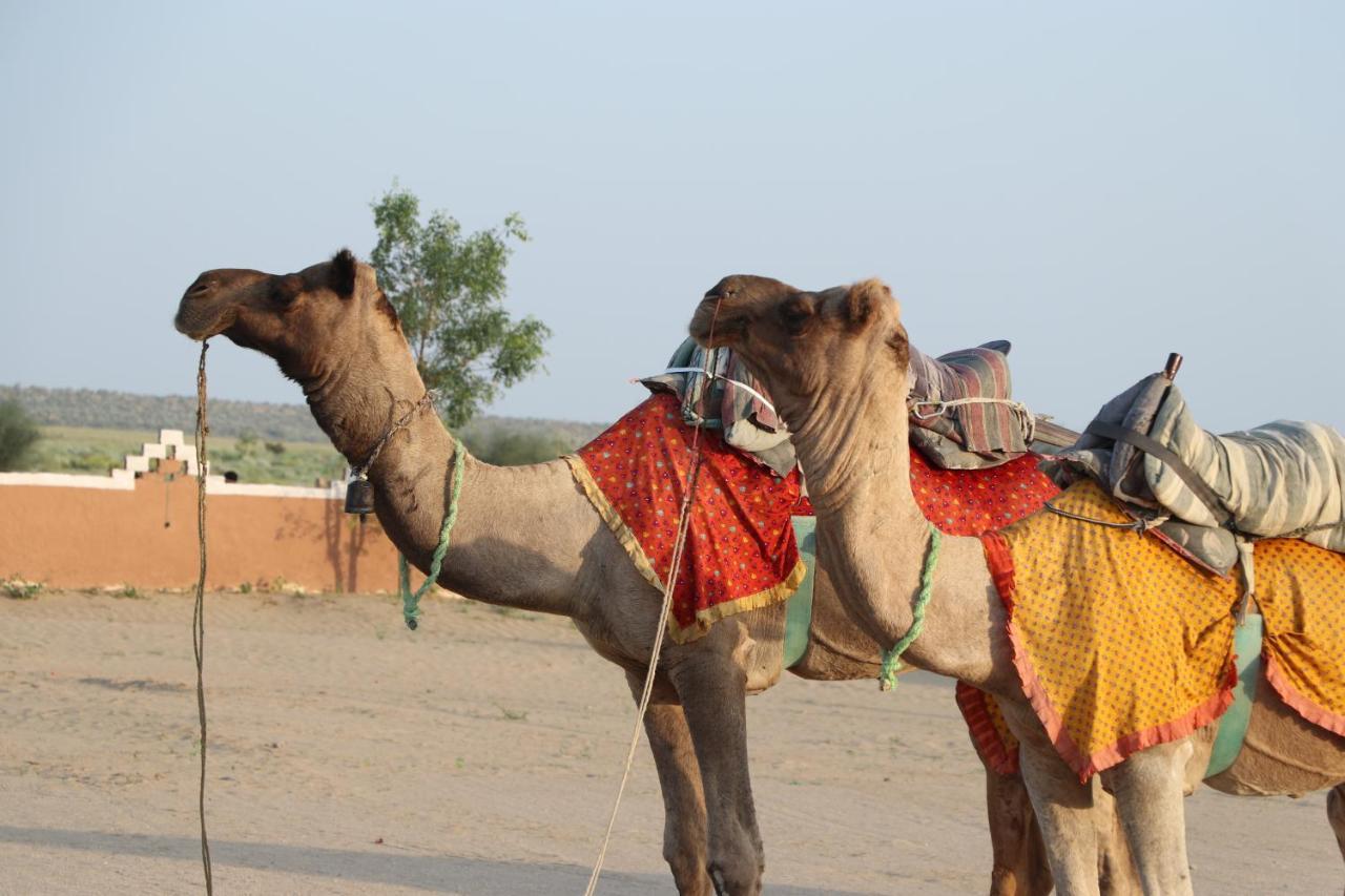 Sunny Desert Camp Kūri Dış mekan fotoğraf