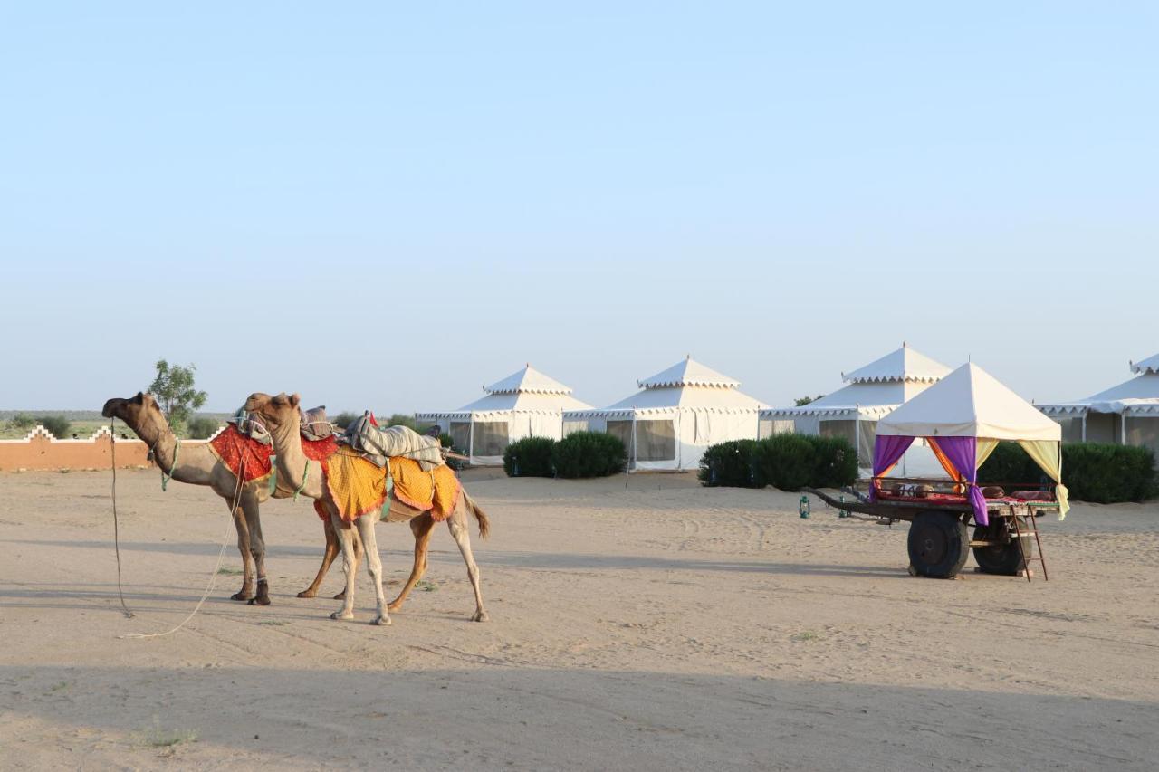 Sunny Desert Camp Kūri Dış mekan fotoğraf