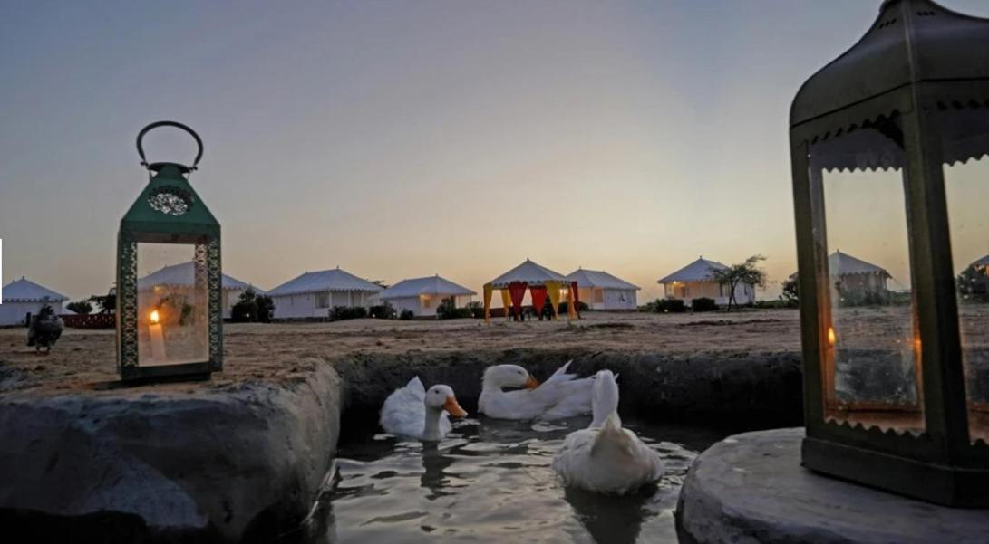 Sunny Desert Camp Kūri Dış mekan fotoğraf