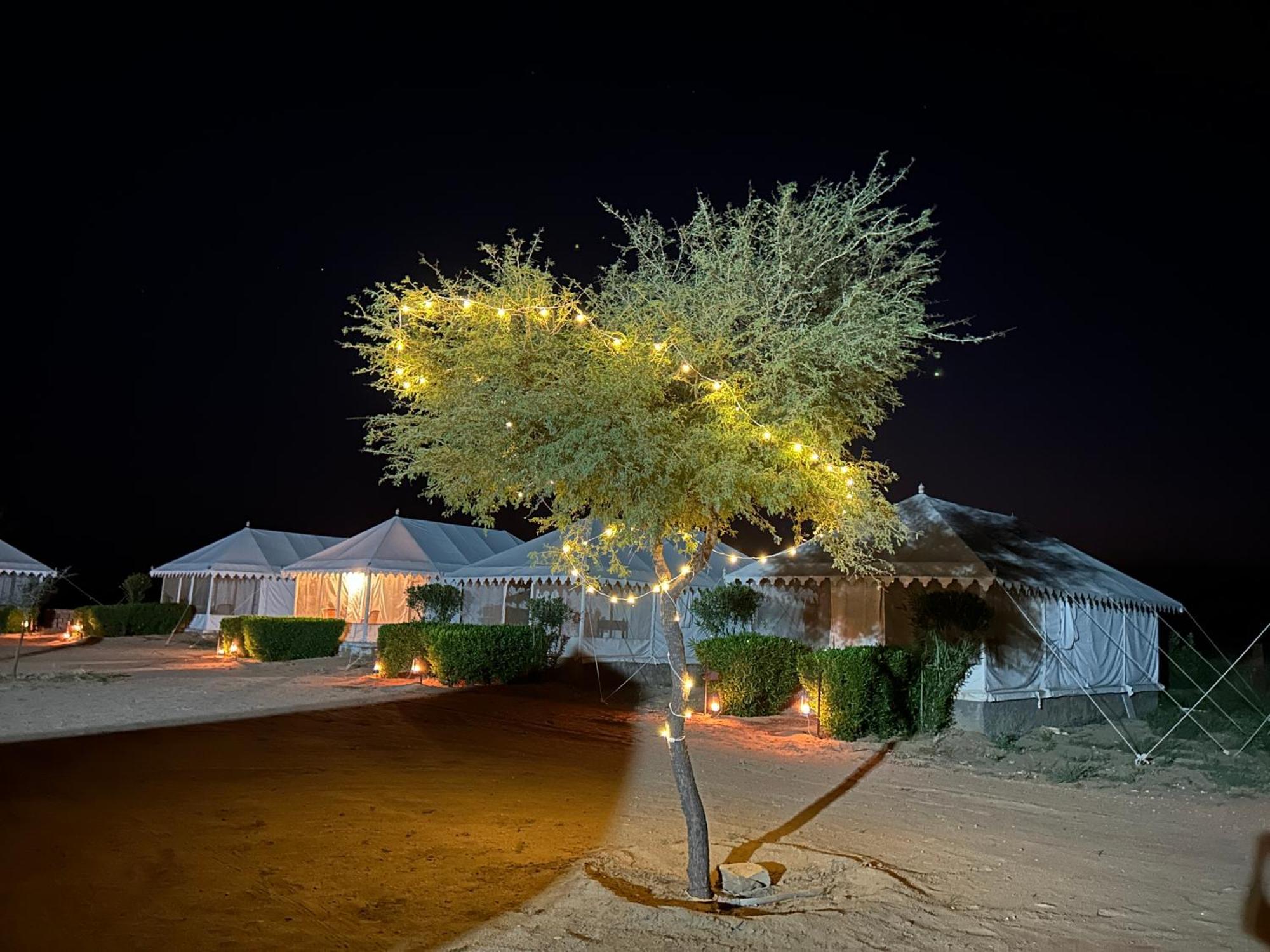 Sunny Desert Camp Kūri Dış mekan fotoğraf
