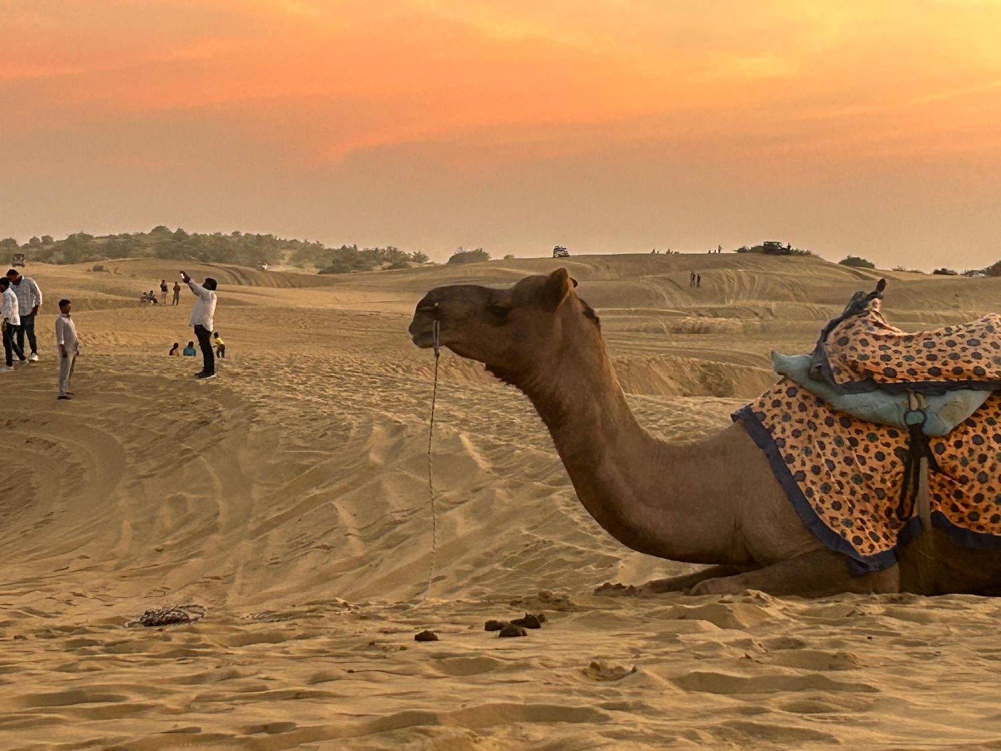 Sunny Desert Camp Kūri Dış mekan fotoğraf