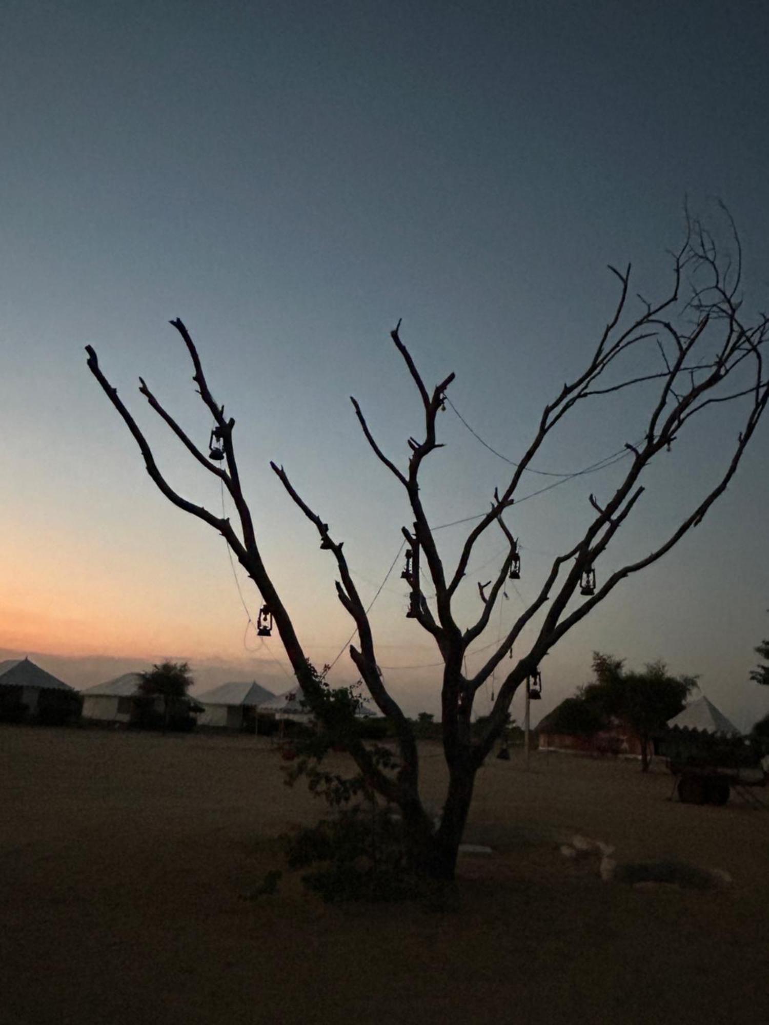 Sunny Desert Camp Kūri Dış mekan fotoğraf